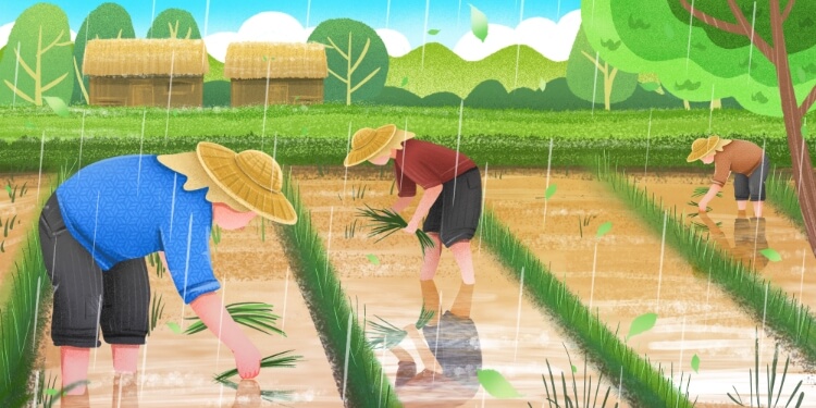 当前节气