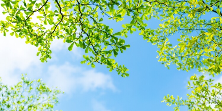 小满